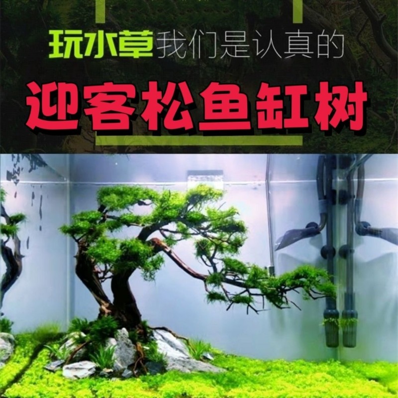 전문가용 친환경 나무 유목 아트 플라워 베이슨 (맞춤형 - Resin Art With Wood 리뷰 및 가격